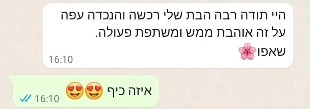 תמונת המלצה