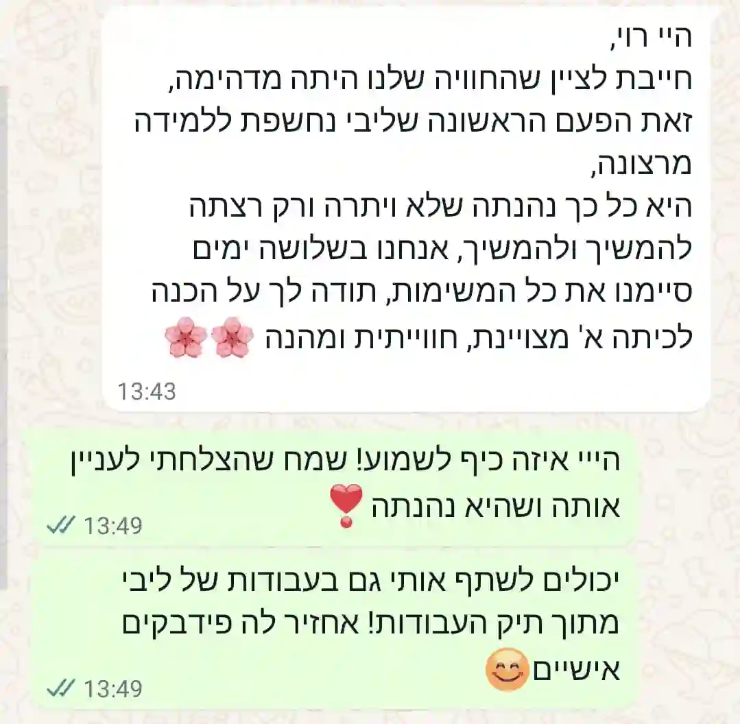 תמונת המלצה